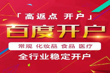 百度竞价SEM深度解析：某行业成功推广经验